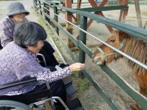 ふなん苑特養